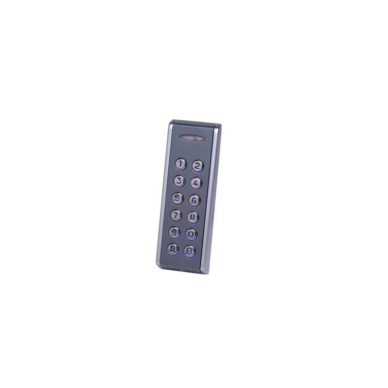 Schmaler Tastaturleser mit Hintergrundbeleuchtung, standalone, mattgrau, IP65