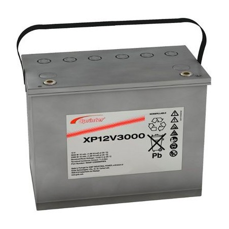 Exide Sprinter XP12V3000
