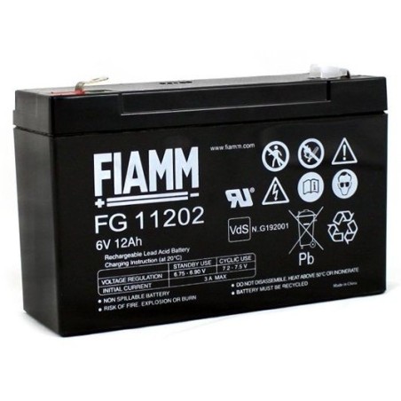 Fiamm FG11202
