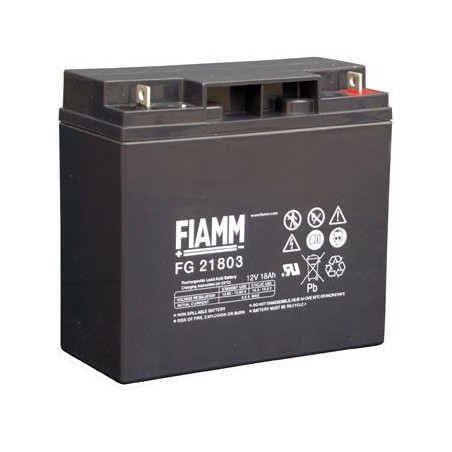 Fiamm FG21803