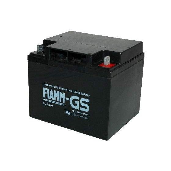 Fiamm FG24204