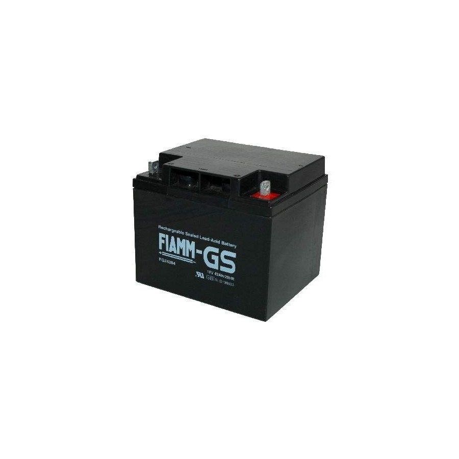 Fiamm FG24204 Fiamm FG24204