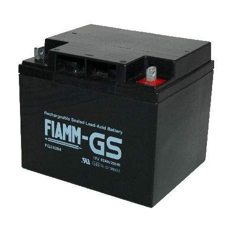 Fiamm FG24204
