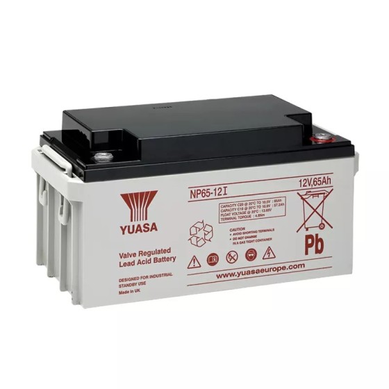 Yuasa NP65-12i