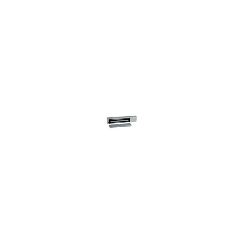 Flächenhaftmagnet FWS-HM 300 - für SMARTTerminal Pur & Praxis
