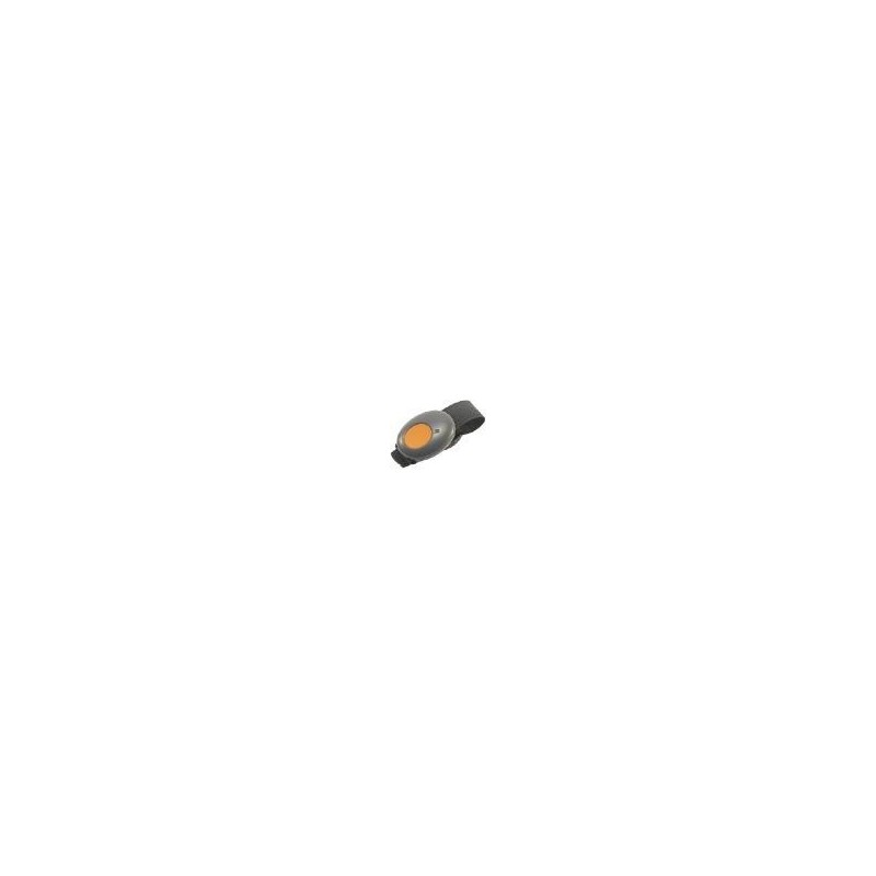 Funk-Notrufhandsender ANS-868 - 868,Bidirektional,1 Taste