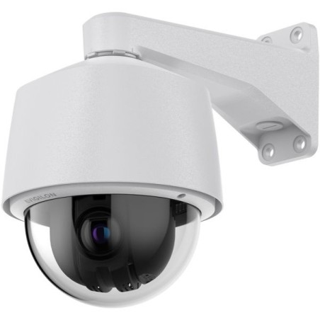 Avigilon IP-PTZ-Dome-Kamera, 4MP, 6,5-162,5mm, IP66, IP67, IK10, IK09, grau