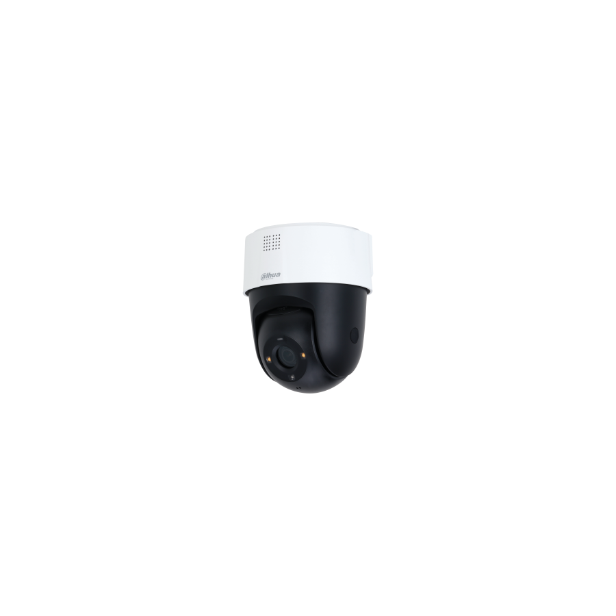Dahua IP-PT-Dome-Kamera, 2MP, 4,0mm, IR 30, IP66