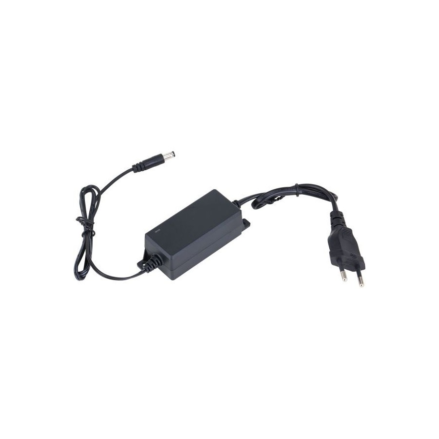 Dahua Netzteil 12V DC/1 A, 12 W, Desktop, 0,8 m